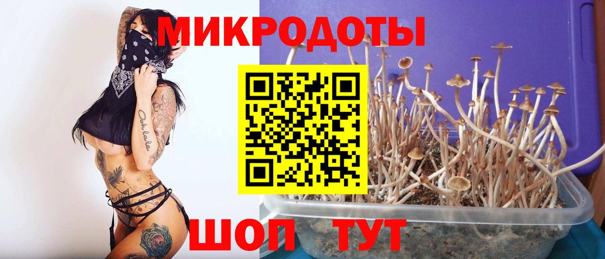 Псилоцибиновые грибы GOLDEN TEACHER  Вход с VPN  Чапаевск 